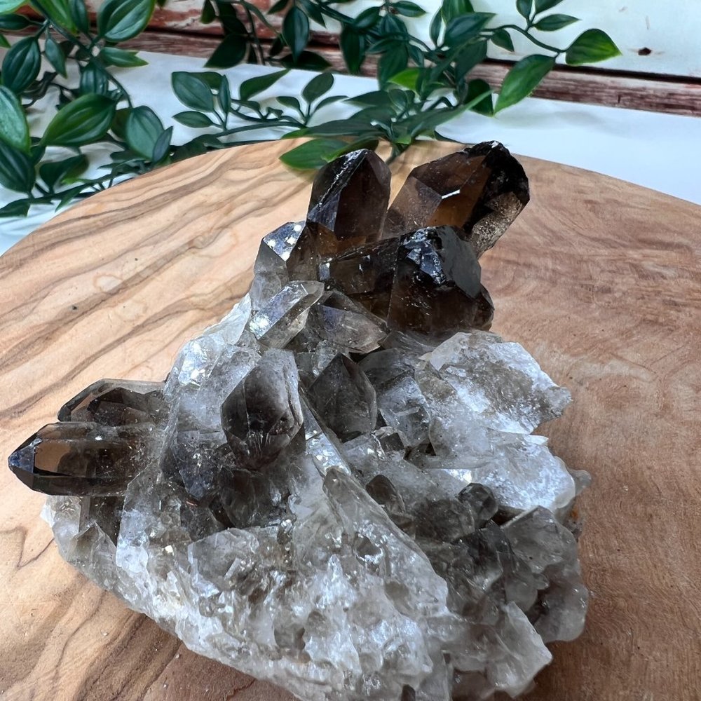 Smoky Quartz Crystal Points Protection Cluster